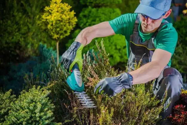 landscaping services Roaming Shores